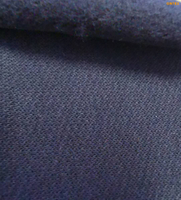 Flame Retardant Cotton Nylon Knitted Fabric